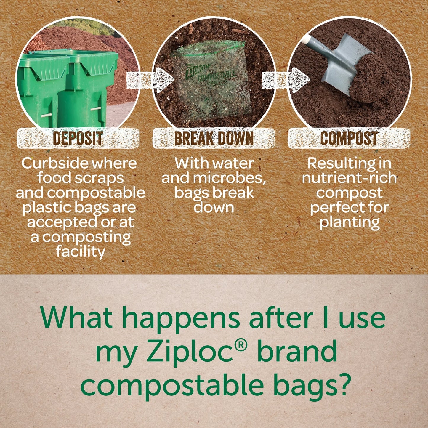 ® Compostable Sandwich Bags, Food Storage Zipper Bags, 40 Count