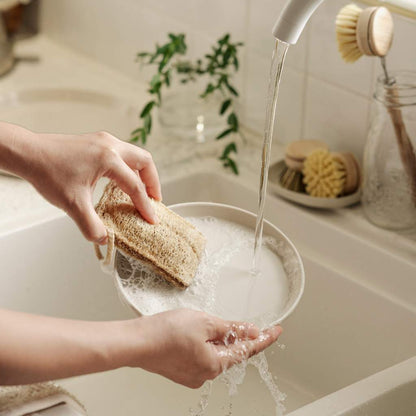Sustainable Dish Brushes | 4 Piece Starter Set W/ Loofah Sponge